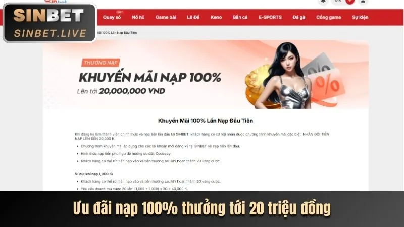 Hoàn trả hàng ngày tại VN23C